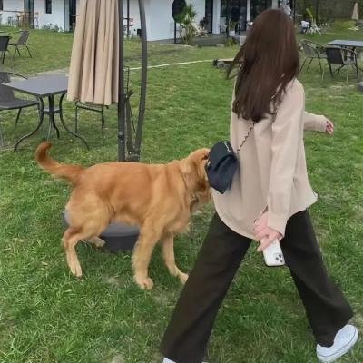 柔软的生活